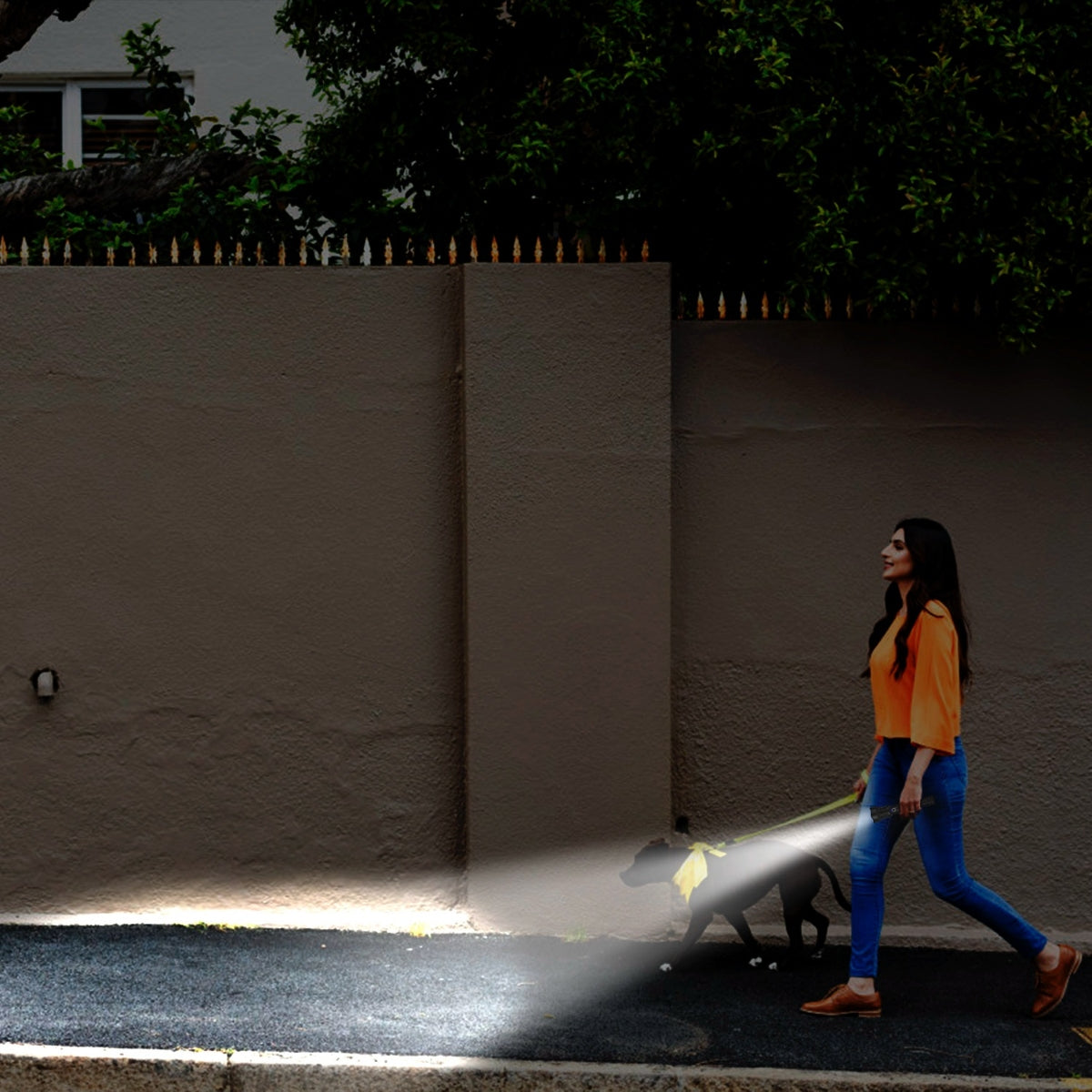 Person walking a dog outdoors at night using a handheld flashlight