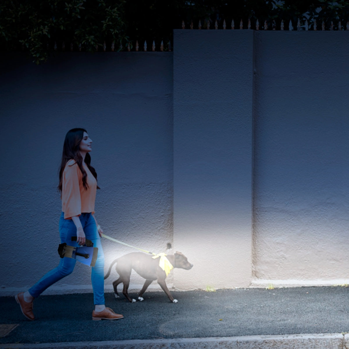 Woman walking a dog at night holding a lantern that lights the sidewalk