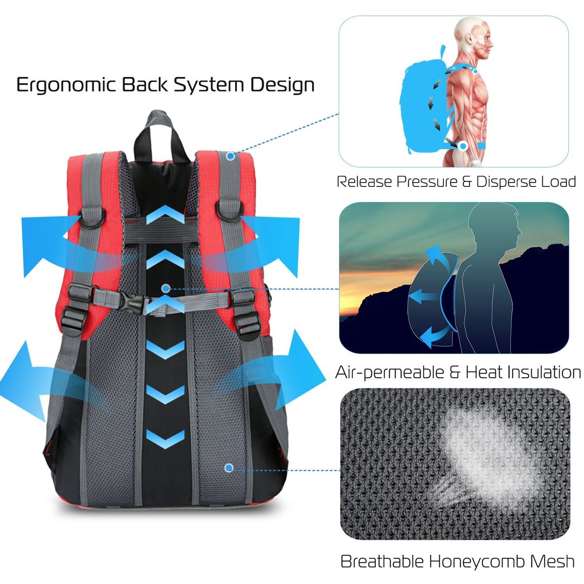 36L Lightweight Hiking Backpack - 15kg Load, 5 Colors — backpacks, view 19
