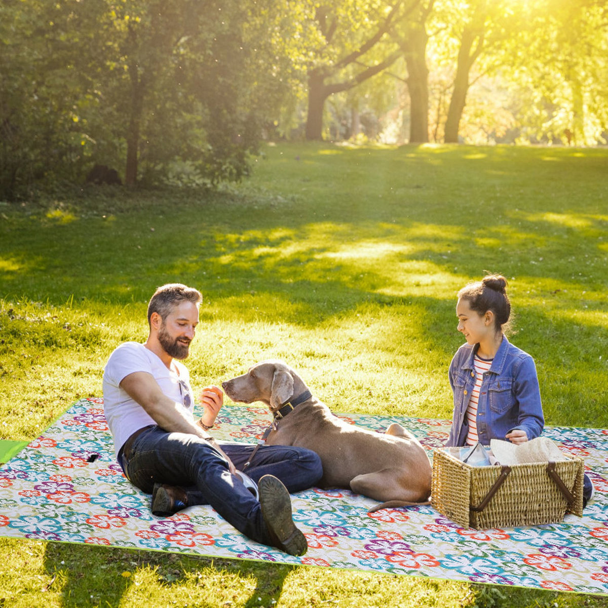 Man and woman with a dog sitting on a colorful blanket in a park