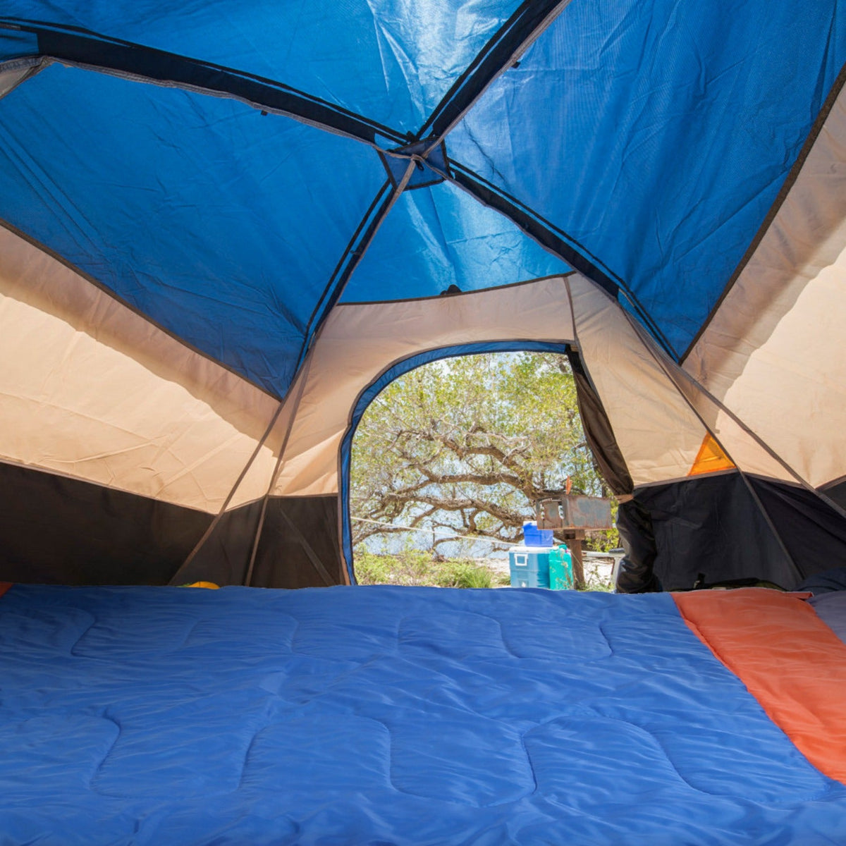 Camping tent interior with blue ceiling and beige walls, showing outdoor scenery through entrance.