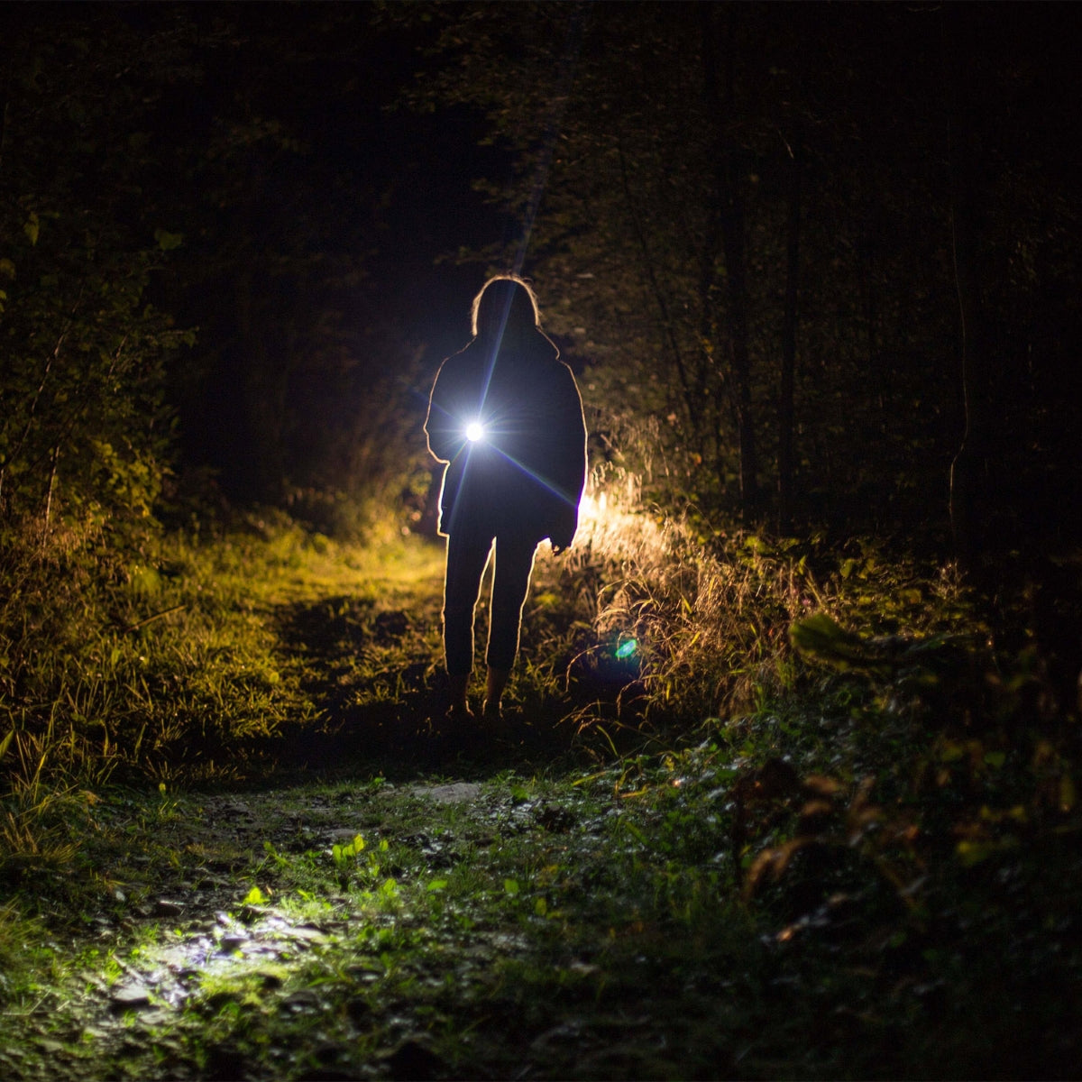 Person standing on forest trail at night holding illuminated flashlight