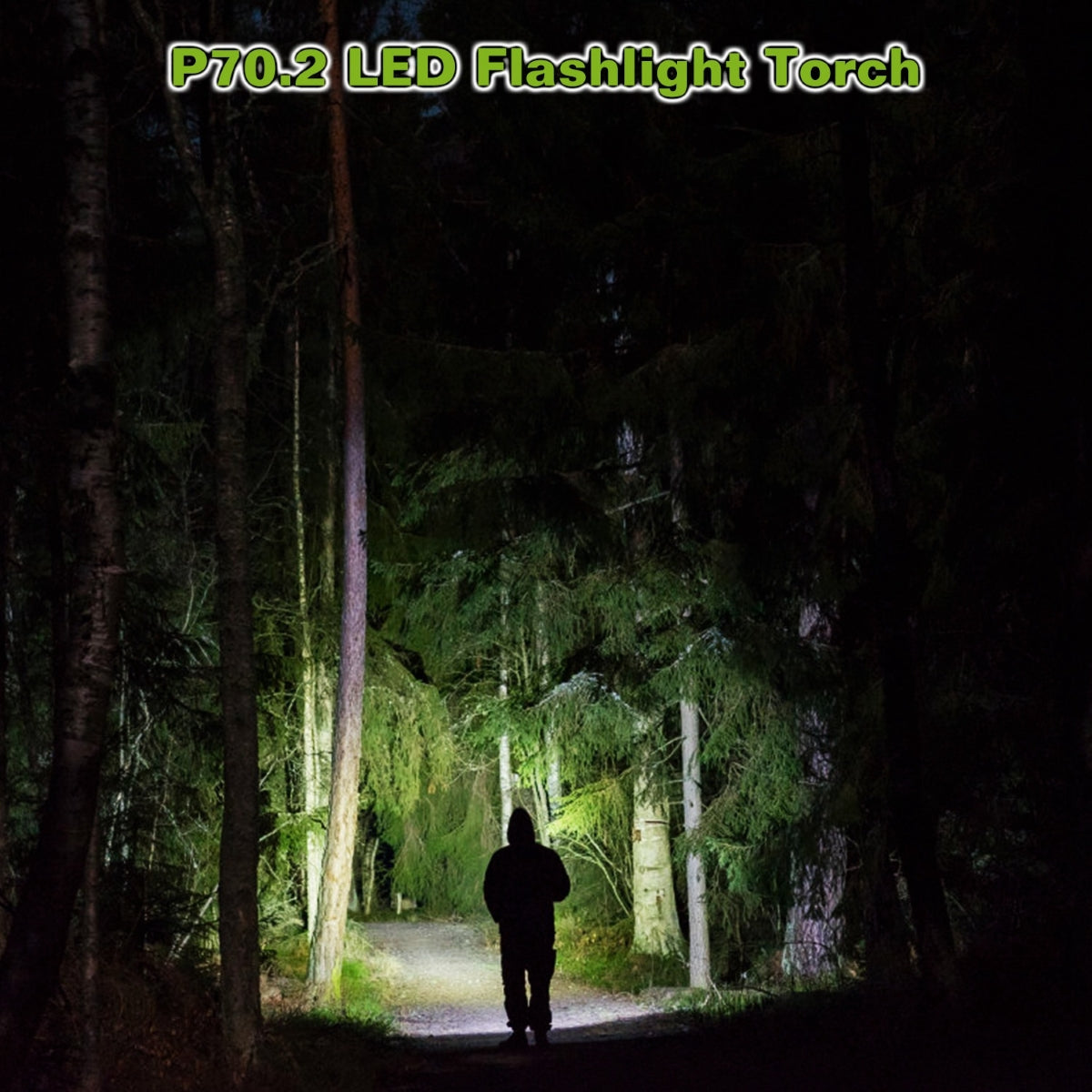 Flashlight beam illuminating a forest path at night with a person walking ahead