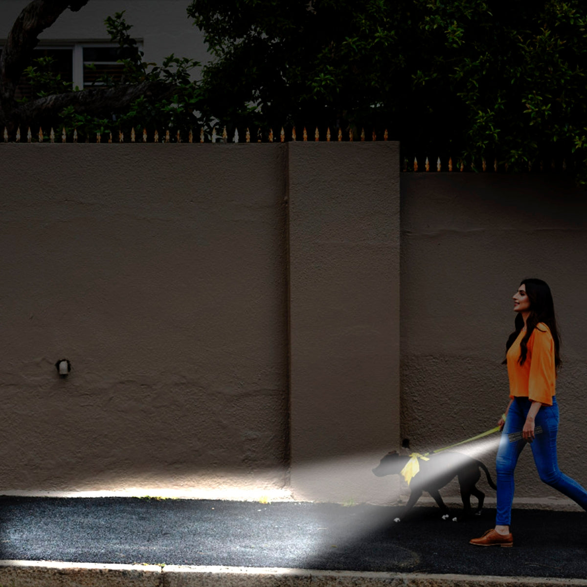 Person walking dog at night using handheld flashlight along paved path