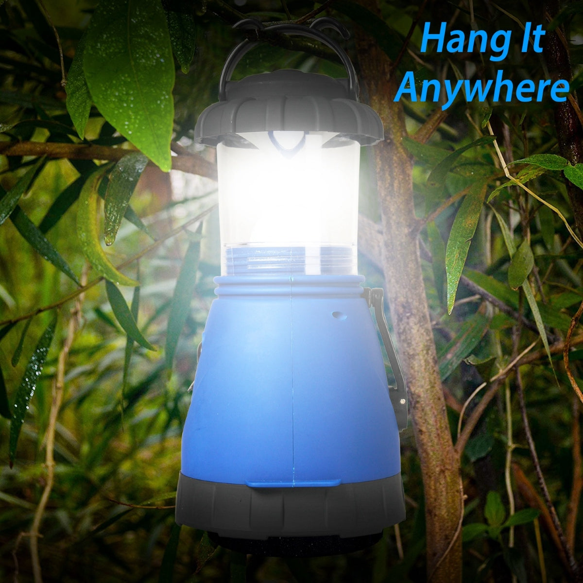 Blue lantern hanging from a tree branch with light shining through green leaves