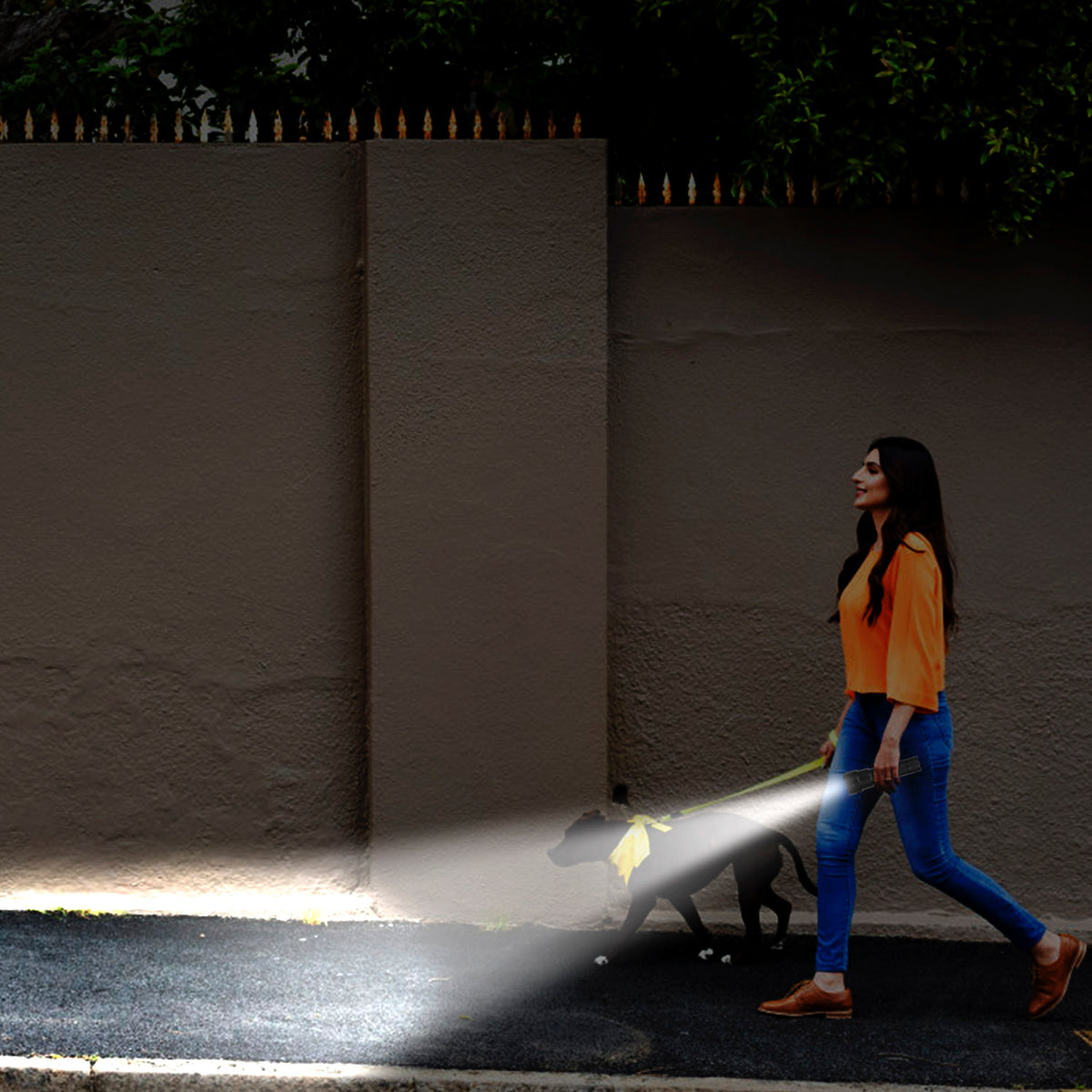 Woman walking a dog on a leash with a light attached, illuminating the path.