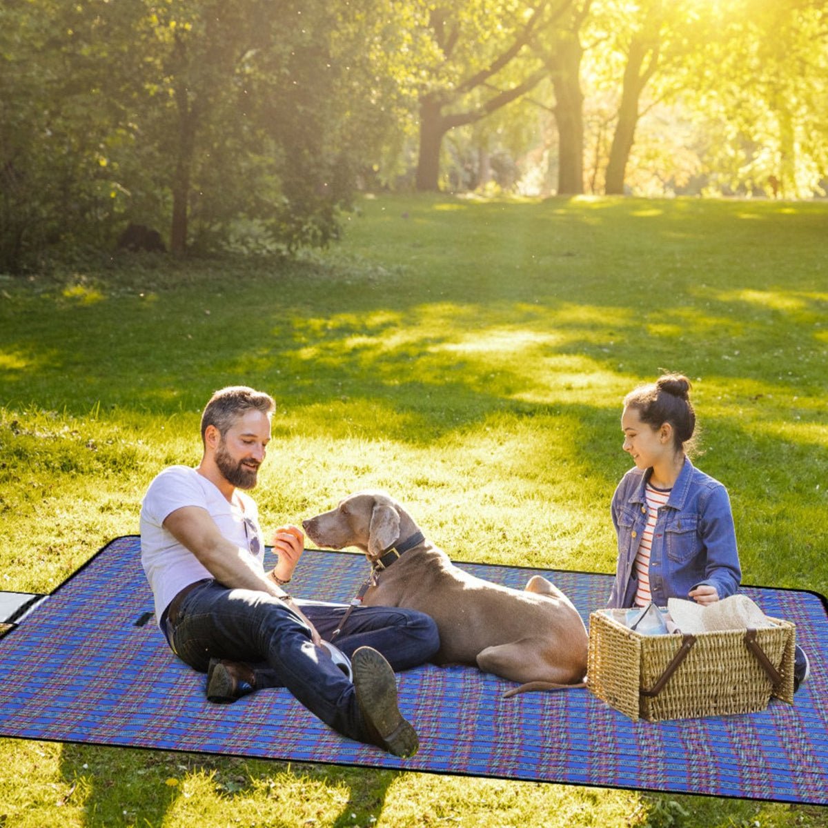 Large plaid picnic blanket spread on grass with two adults and a dog outdoors