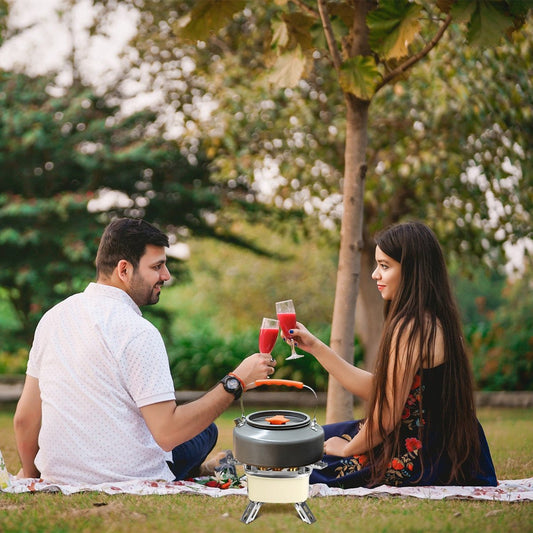 Five-head camping stove set on a picnic blanket during outdoor park gathering