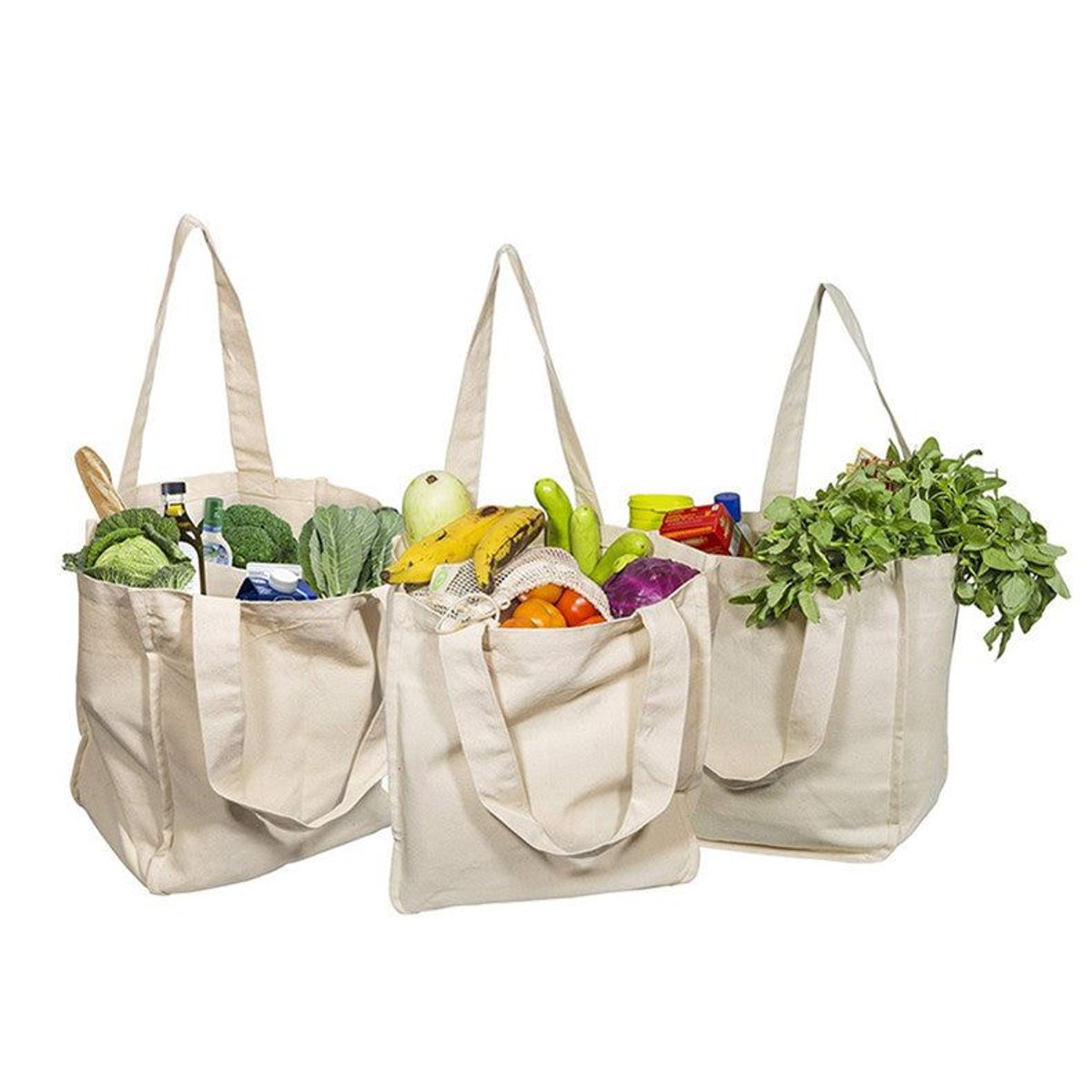 Organic Cotton Market Tote - 6 Internal Sleeves, Plastic-Free (16′′×12′′) — shopping totes, back view